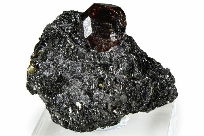 Pristine Zircon Crystal and Magnetite in Biotite Schist - Fluorescent! #363942